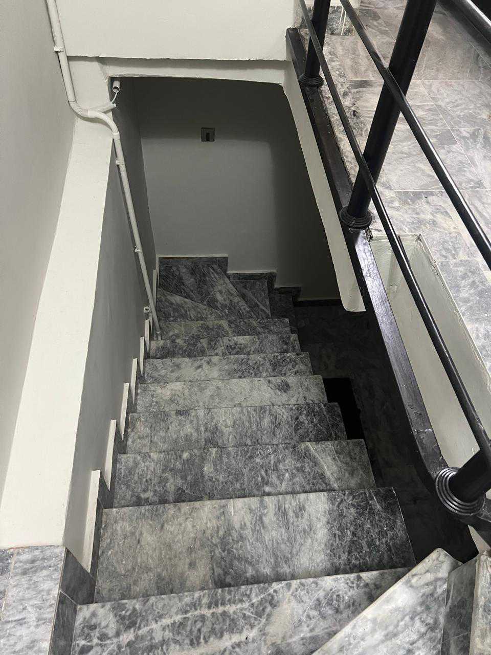 scaled_1000482731
