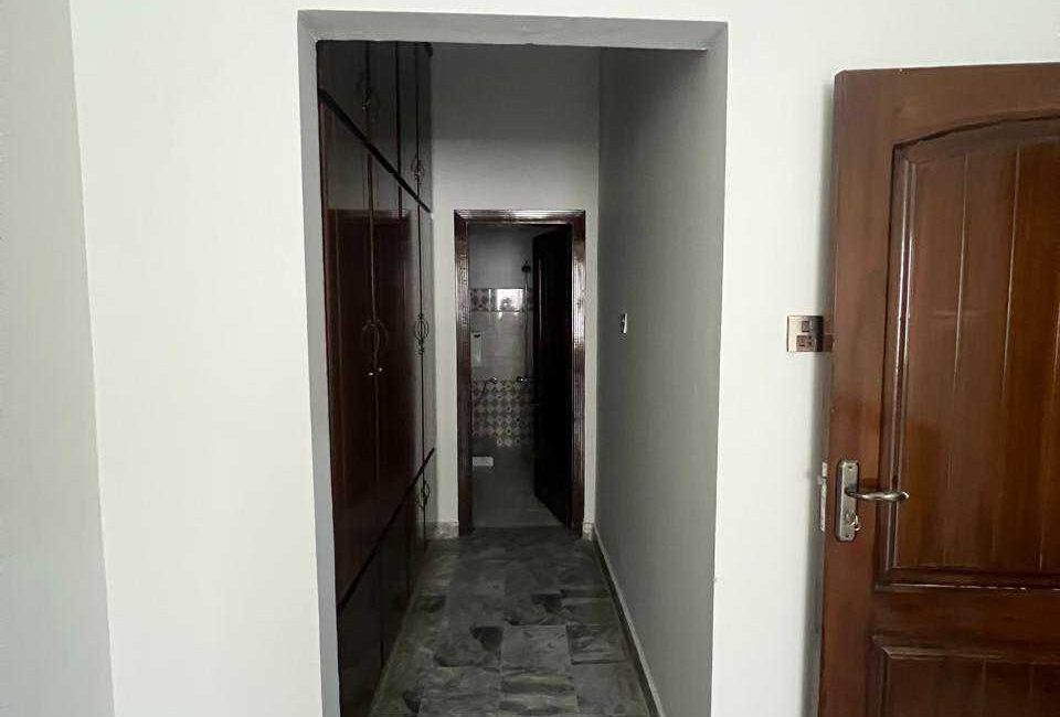 scaled_1000482739